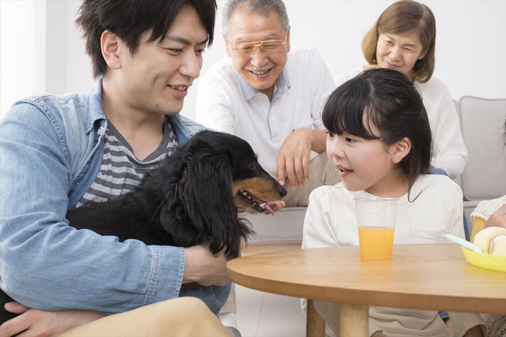 引き渡し